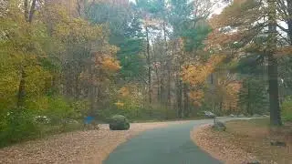 Fall is beautiful