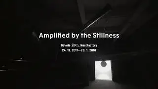 Amplified by the Stillness 24. 11.–28. 1. 2018