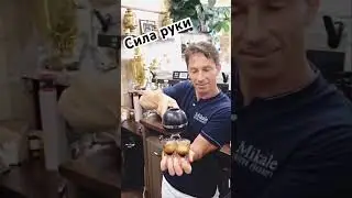 Сила рук