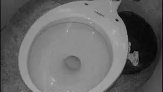 Inodoro