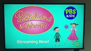PBS Kids Program Break (WTTW September 20th 2024)
