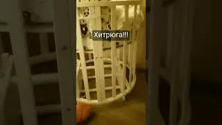 Тот момент, когда ты не шевелишься чтоб ребёнок уснул.... а этот "партизан " "не дремлет"😅😅 #baby