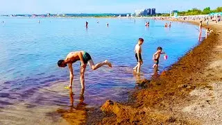 АНАПА - ПЛОХИЕ НОВОСТИ - ТИНА НАСТУПАЕТ НА ПЛЯЖИ! МОРЕ НАЧАЛО ЦВЕСТИ! КУРОРТНЫЙ СЕЗОН МАЙ 2021