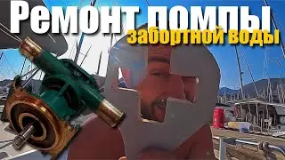 114. Замена сальника помпы забортной воды на Volvo Penta MD 2040. Сухопутный яхтинг