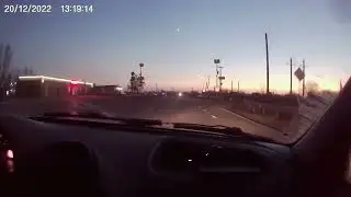 Астраханский коровы