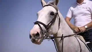 Emirates Equestrian Centre - Dubai