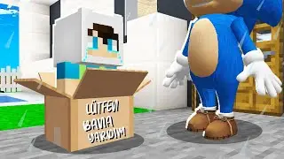 ENES VS MİNECRAFT 