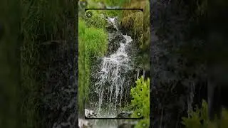 Каскады брызг