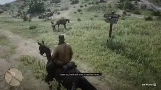 Red Dead Redemption 2 Random Encounter #1: House kick to the Head