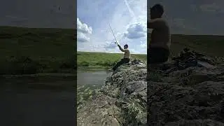 #рыбалка# клюют только маленькие наглые Матросики!