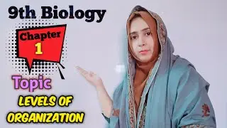 Levels of Organization Part 1 | Class 9th Biology