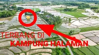 PEMANDANGAN SAWAH DI KAMPUNG