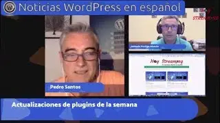 Spam en WordPress ¿Quién está detrás?