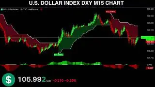 DXY US DOLLAR INDEX Trading chart ( Recorded footage from our Live stream )