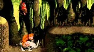 Let's Play Together Donkey Kong Country Part 9 - Die Letzte Welt!