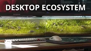 I Built an Aquarium Under My Monitors