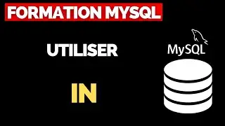 Utiliser l'Opérateur IN dans une Requête MySQL |  FORMATION