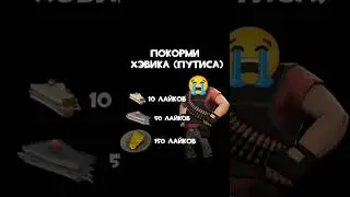 покорми хэвика (путиса)