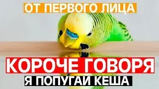 КОРОЧЕ ГОВОРЯ Я ПОПУГАЙ КЕША  / ОТ ПЕРВОГО ЛИЦА /