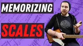 Guitar Scales | How To Make ANY Scale Stick