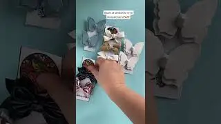 Бантики бувають різні😌🎀