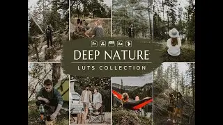Deep Nature Video LUTs- Nature LUTs- VN LUT- Influencer LUT- Video Preset- LUT for Premiere Pro