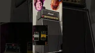 Marshall DSL20 | Caught Somewhere in Time