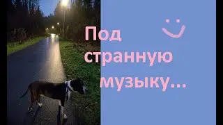 Музыка в голове