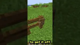 Here’s a building tip.