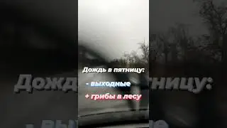 4 ноября 2023 г.