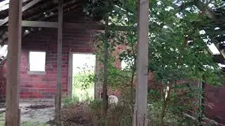 Old Hoghouse