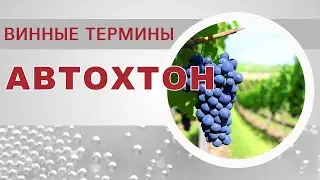 Автохтонные сорта винограда  Винные термины