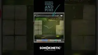 Why Sonokinetic? #shorts