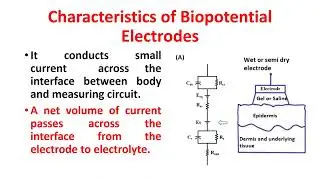 Bio Potential Electrodes