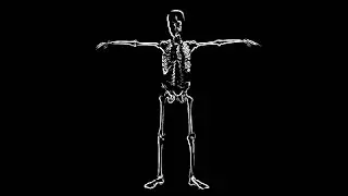 SKELETON DANCE