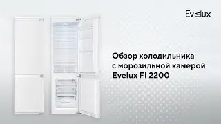Evelux FI 2200 Refrigerator Review
