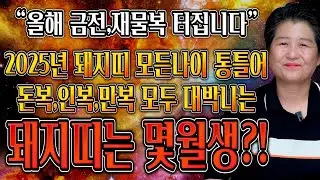 🌟2025년 가장 대박나는 돼지띠는 몇월생?!🌟 을사년 돼지띠운세 대박난다!!  X월생,XX월생 기억하세요! 59년생 71년생 83년생 95년생 07년생 돼지띠 운세