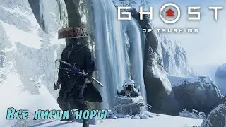Ghost of Tsushima. Все лисьи норы. (Kamila, PS4)