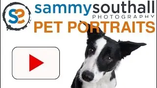 Pet Portraits Worcestershire Sammy Southall Photography