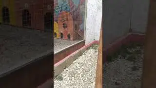 Зоопарк в Севастополе, ферма 