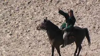 Бузкаши