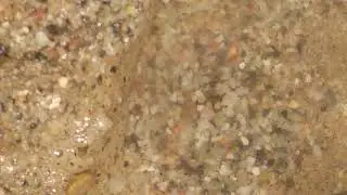 Bu nima ekan