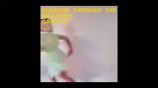Cakeflr - Running Through The Meadows (Official Audio)