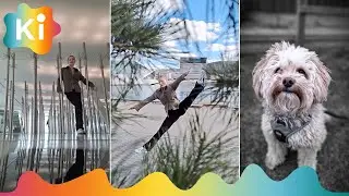 Fotohacks og tips når du tar bilder med telefonen
