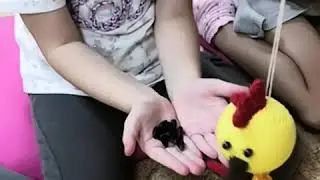 Цыпленок Цыпа) песенка Анастасия Логачевская