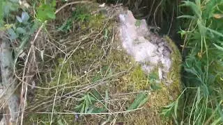 Легкий хлеб пчеловода)