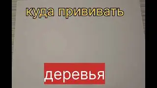 Куда прививать деревья.