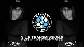 SLR Transmission 6 by Vicky Zissou