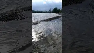 Strandbad Mannheim Hochwasser fließt ab
