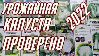 САМАЯ УРОЖАЙНАЯ КАПУСТА 2022 ОБЗОР. ЧАСТЬ 2.